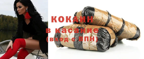 спиды Богданович