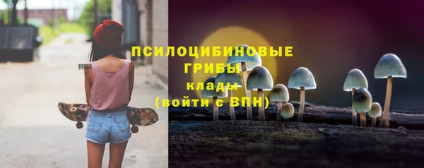 спиды Богданович