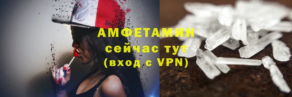 спиды Богданович
