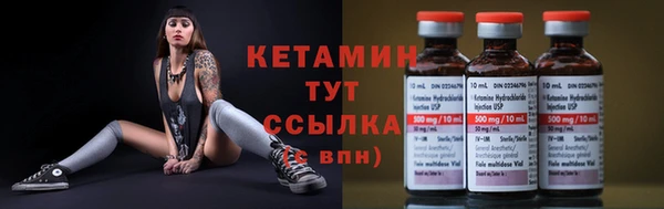 спиды Богданович