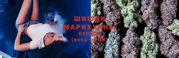 спиды Богданович