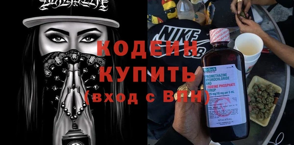 спиды Богданович